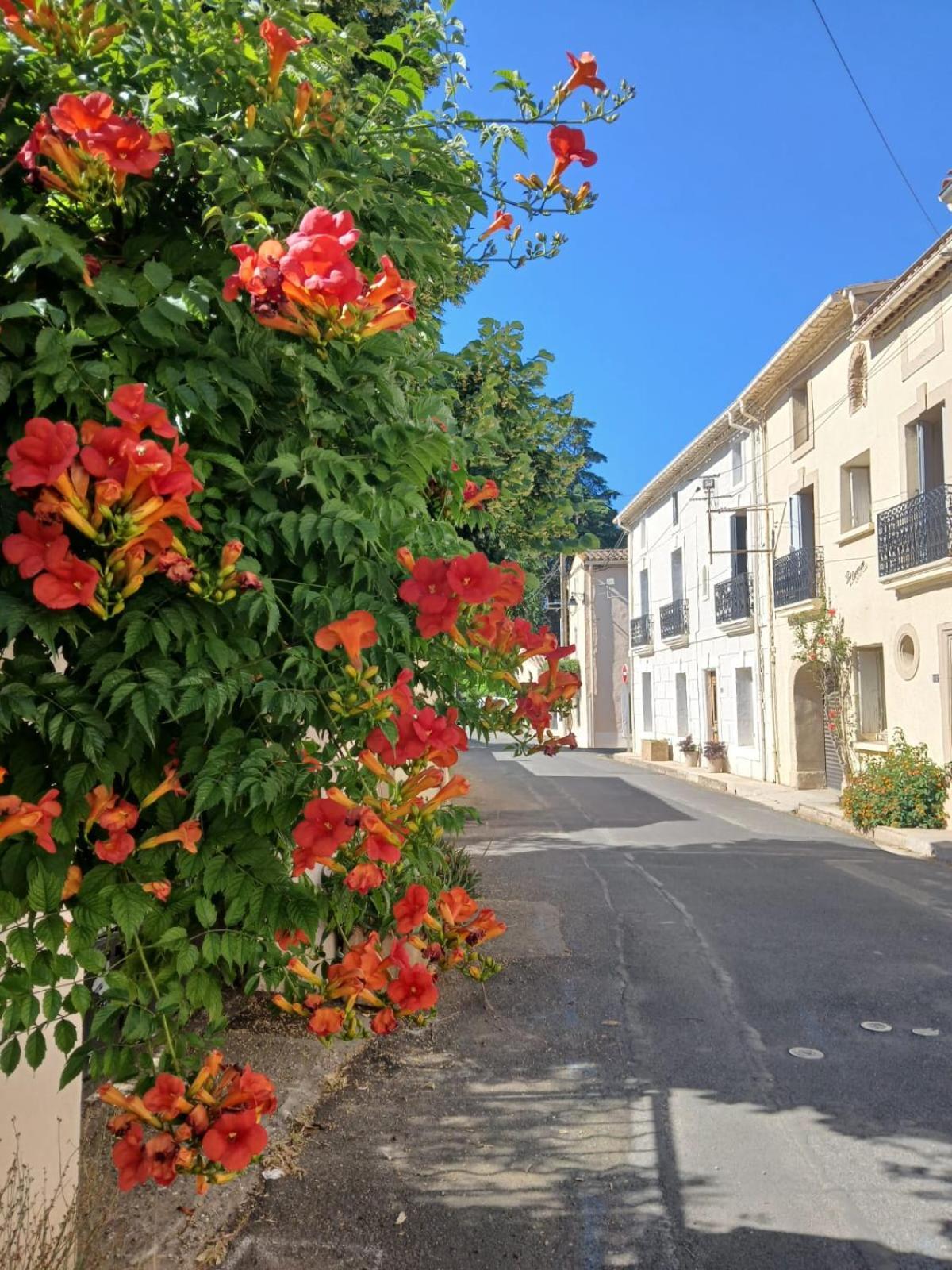 L'Oostaloo Logement De Vacances Usclas-l'Herault Εξωτερικό φωτογραφία